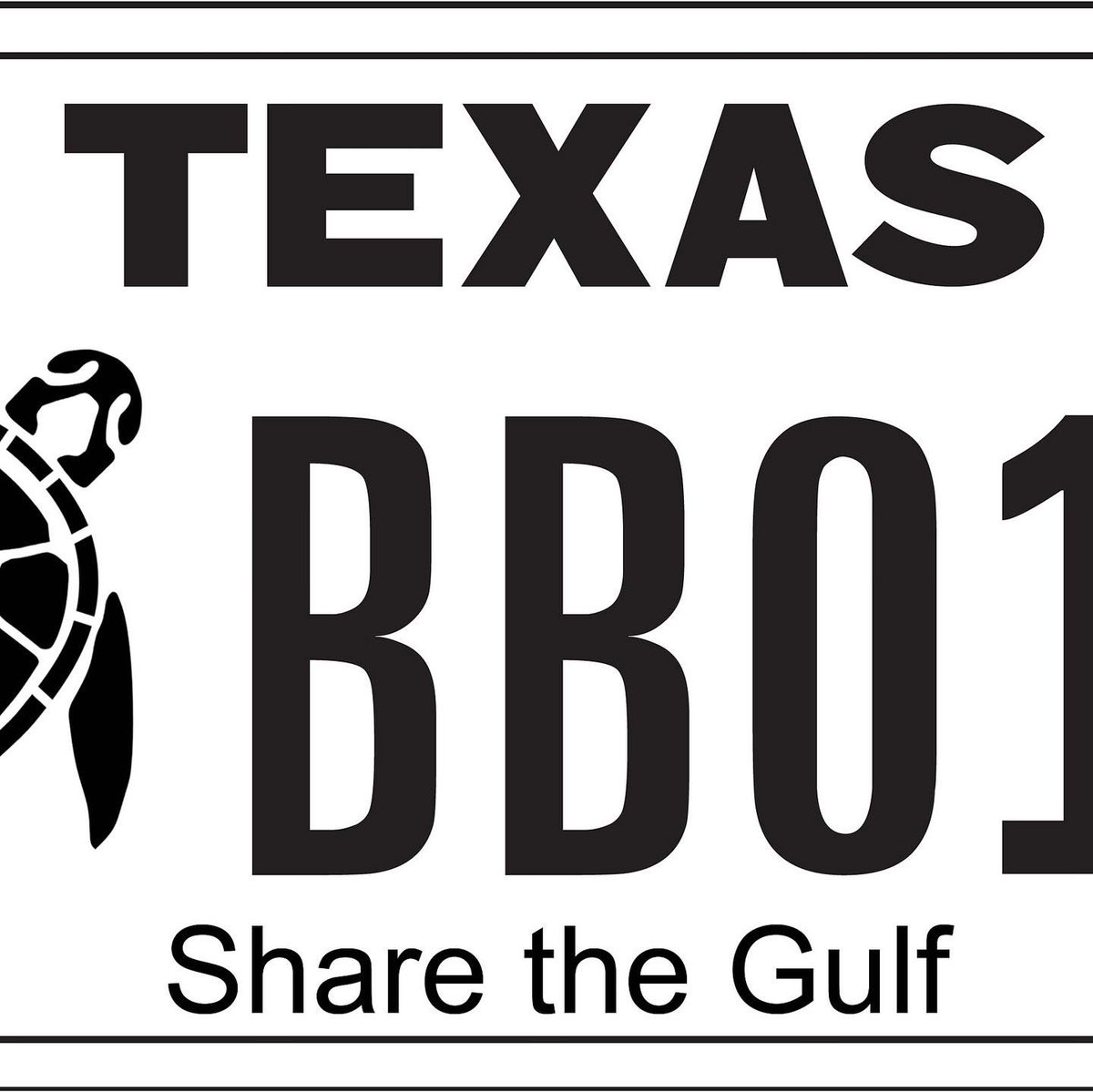 SeaTurtleCenter's tweet image. Our new @SeaTurtleCenter program assistant @KariHow92232452 on the job promoting our TX specialty sea turtle license plate that supports the Center and Texas turtles. @SERSTM_2020 #SERSTM2020
