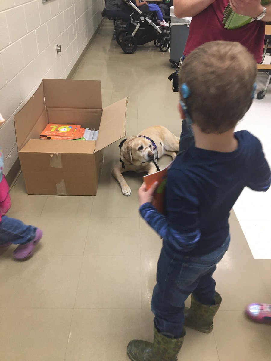 LiteracyStone's tweet photo. Cocky and friends came to GPS today to read to our Scouts! Thanks to Debbie Oswald our school librarian. #gilbertprimary #Lex1Literacy #Lex1Leads https://t.co/XfgOdzLn1K