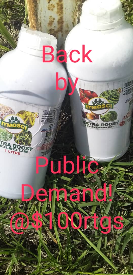 ItmosciFert's tweet photo. #ItmosciNutriology #ExtraBoostFertilizer 1Litre. #BACKBYPUBLICDEMAND
#SustainableLivelihoods #SustainableFoodSecurity
@IMateveke @CynthiaTapera @WendyMadzura @zimagricsociety @AgritexS @MoLARR_Zim @CBZHoldings @AfDB_Group @TonyElumeluFDN @FDailyGlobal https://t.co/4llPgRJTiL