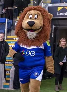 TheSwintonLion's tweet photo. Hi folks the @TheSwintonLion needs your help again. Volunteer to be a funny furry mascot at the @Swinton_Lions home games #blackpoolbash #summerevents NEEDED. All advice to fulfill the role given. Please contact stephenp.swintonlions@yahoo.com or message below or come Sunday! https://t.co/LXPdkSl2en