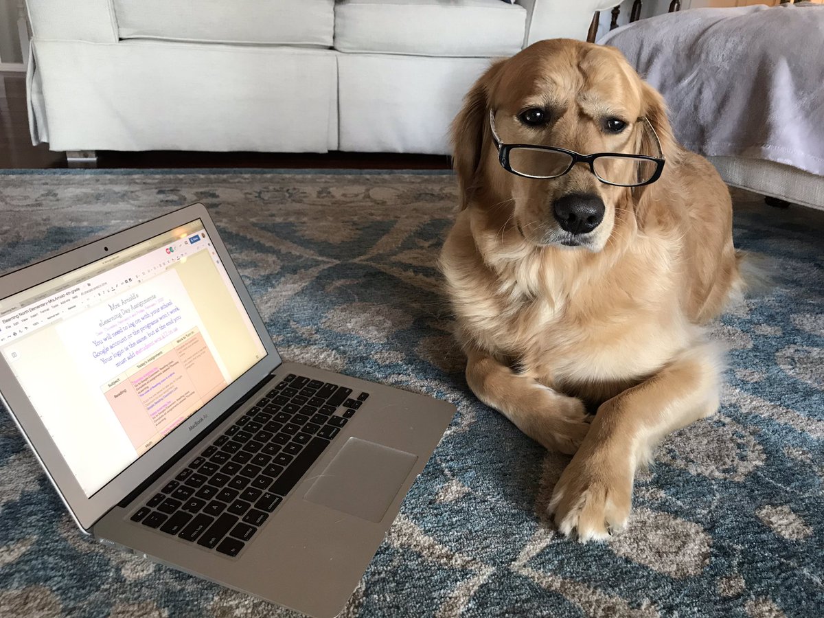 LaurieLarnold's tweet photo. Maggie is doing her eLearning today.  Are you??  @NorthElem1  @WashCommSchools https://t.co/NtI6FcXiMp