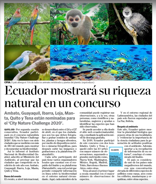 INABIO_EC's tweet photo. ▶️#INABIOEnMedios | Del 24 al 27 de Abril del 2020, Ambato, Guayaquil, Ibarra, Loja, Manta, Quito y Tena serán parte del City Nature Challenge. El #INABIO brindará apoyo en el uso de #iNaturalistEc.
📌¿Quieres saber cómo participar? Entérate más en la nota de @lahoraecuador 👇 https://t.co/ZC8bng96ML