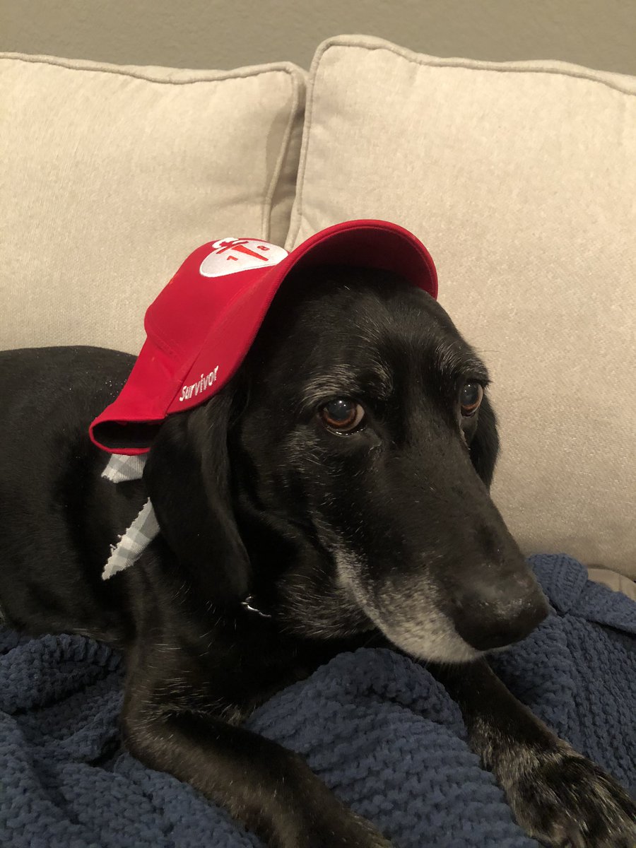 piniemurph's tweet photo. Do you have your RED on today? If not, go get changed because today is #WearRedDay #GoRedIA @AHAIowa https://t.co/jHrzGRgZLy