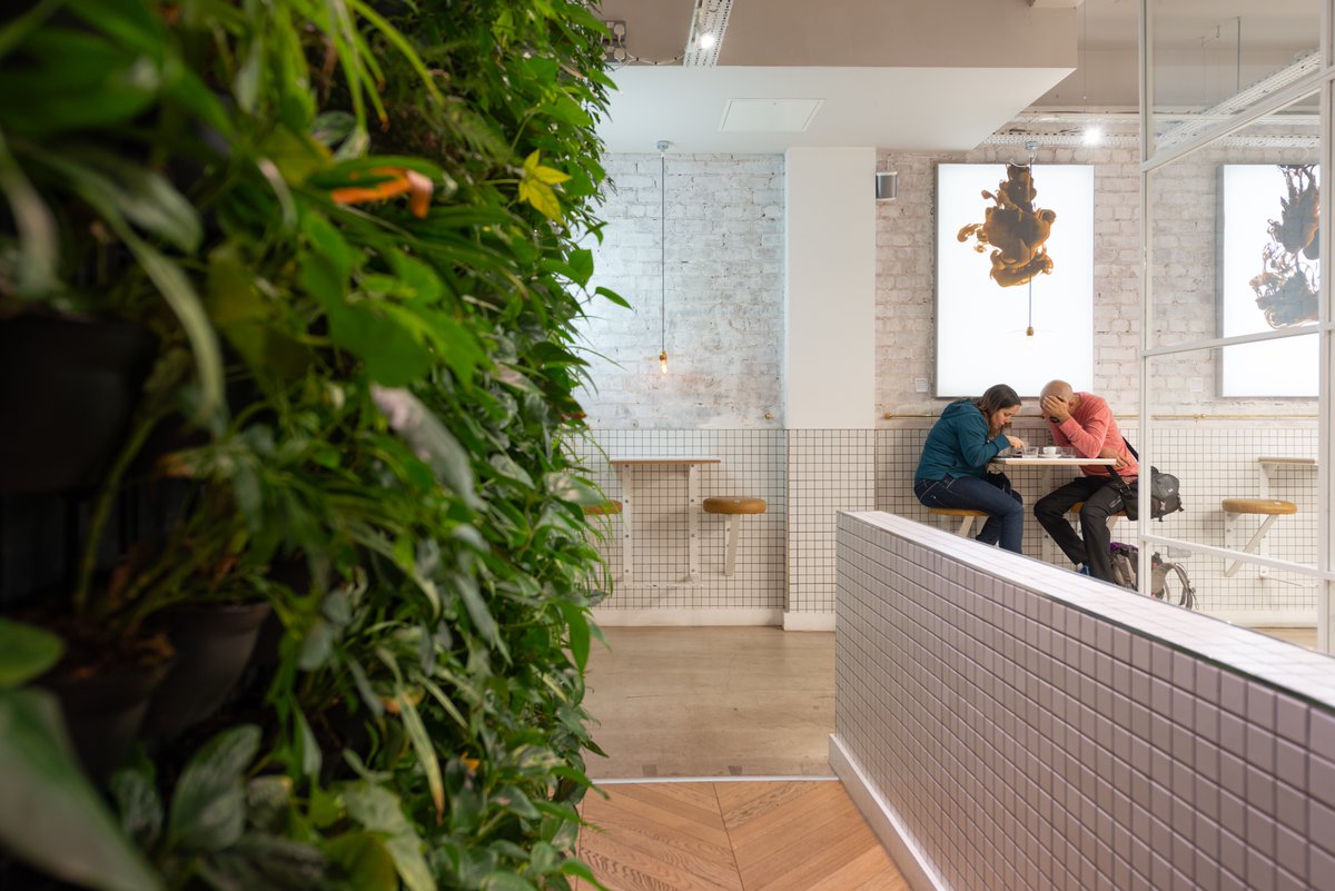 wtsproperty's tweet photo. Flowers on the outside, greenery on the inside #BridgeStreetStudios #Manchester https://t.co/aLkOcpXMCn