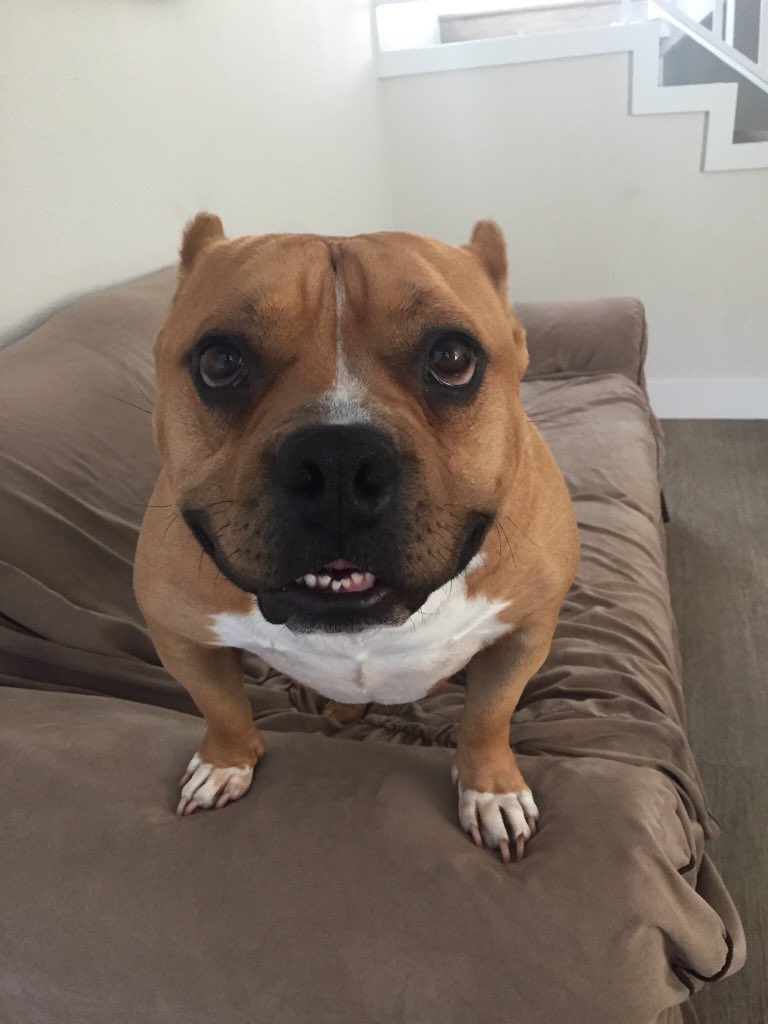 pay a t t e n t i o n plz