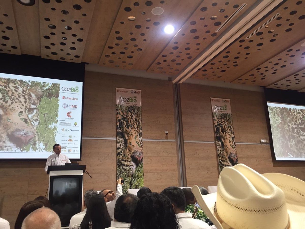 LaPalmita_Ci's tweet photo. Comprometidos con la conservación de las #sabanasinundables y el #trabajocomunitario en la #orinoquia. Primer foro de #biodiversidad y #carbon en yopal - Casanare @PRiquezaNatural @USAID_Colombia @CCCASANARE @fcataruben https://t.co/9V221eCdk9