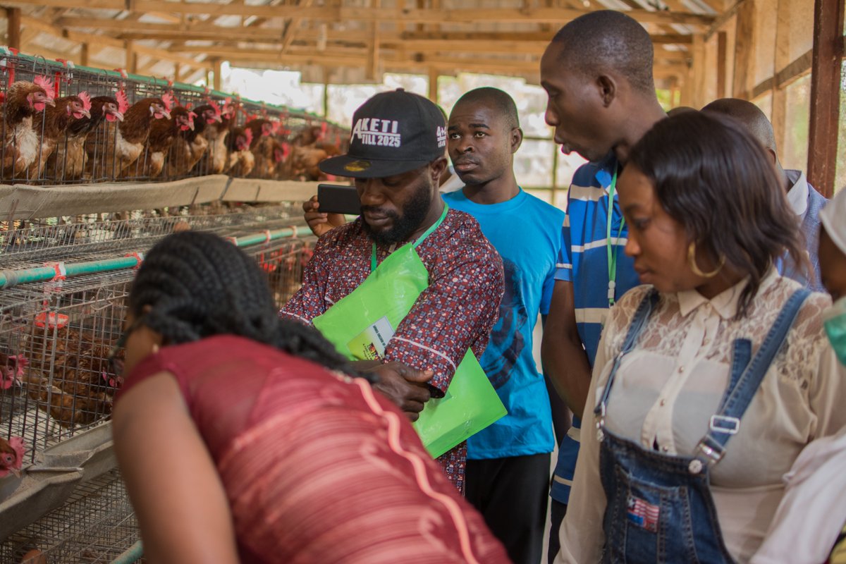 ACAVATS1's tweet photo. Some of our students enrolled in the poultry department during their practical work site class. #Agriculture #Poultry #Education #HandsOnlearning #Acavats https://t.co/ULmptUr3AG