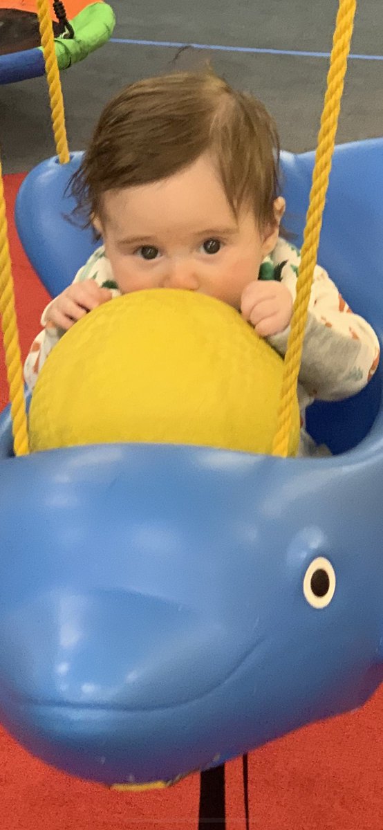 SYanc's tweet photo. Got to watch my little guy’s “workout” yesterday @MyGymFun    #gagalife ❤️ https://t.co/AXSVg1V7AC