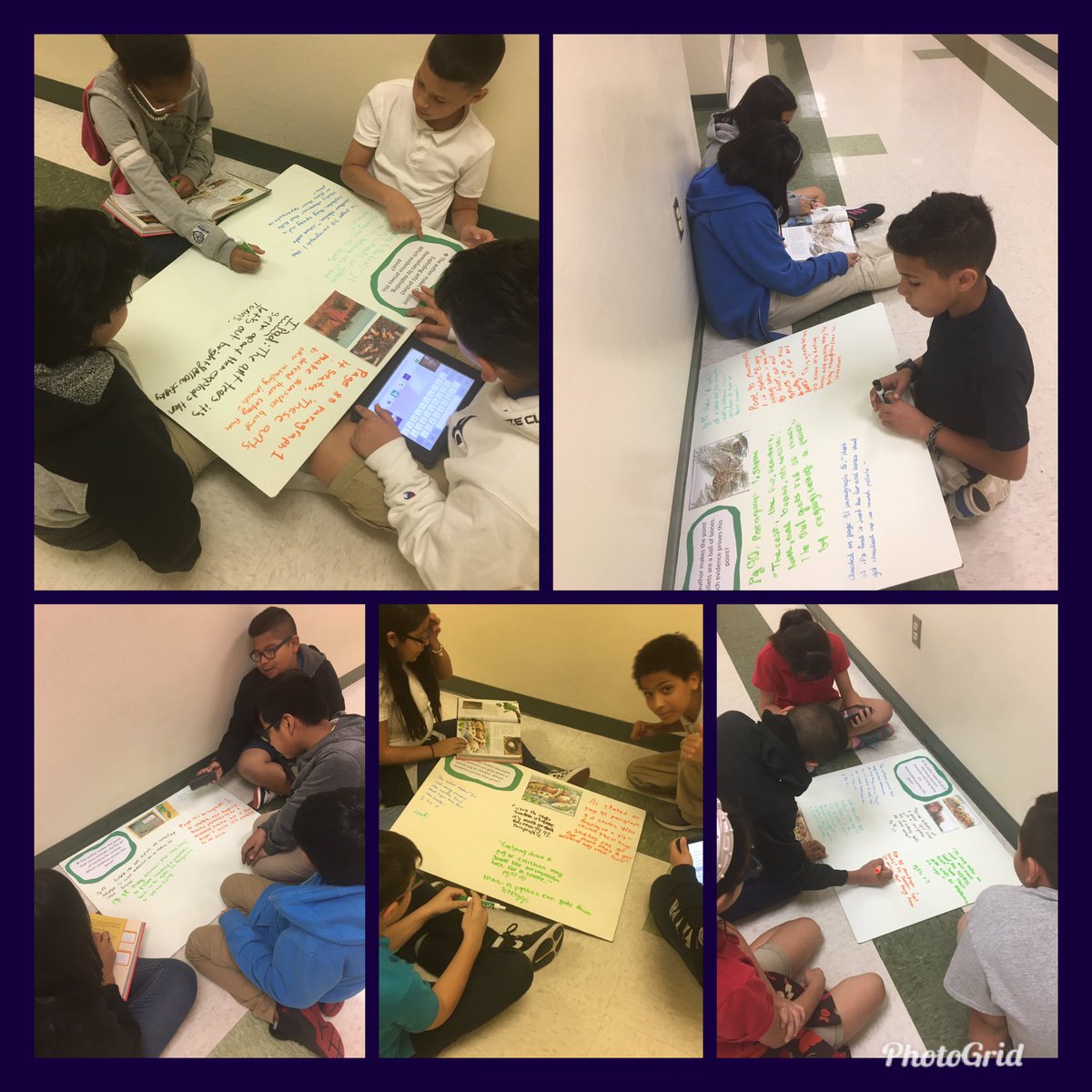 PSEfifthgrade's tweet photo. Doing a Gallery Walk ! Finding reasons and evidence that support the Authors point! #explodingants #theartofmimicry @ParksideProud https://t.co/xBQRwPvpSX