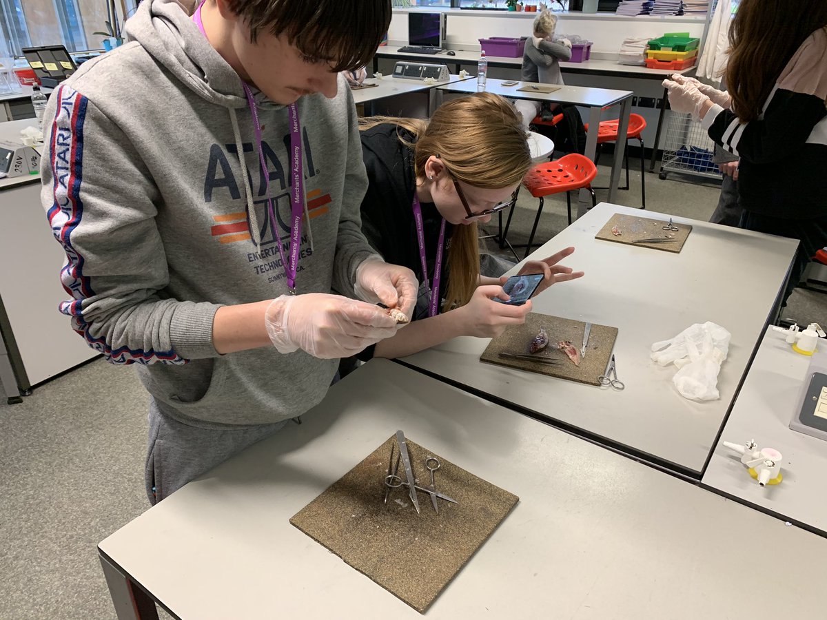 MA16_SixthForm's tweet photo. Mr Marshall-Aherne and lower sixth biology students dissect fish to investigate the adaptations of single circulatory systems compared with double. Some students however, were less than keen to take part... #explorediscoversucceed @VenturersTrust @MerchantsAc https://t.co/AOSZp9MloO