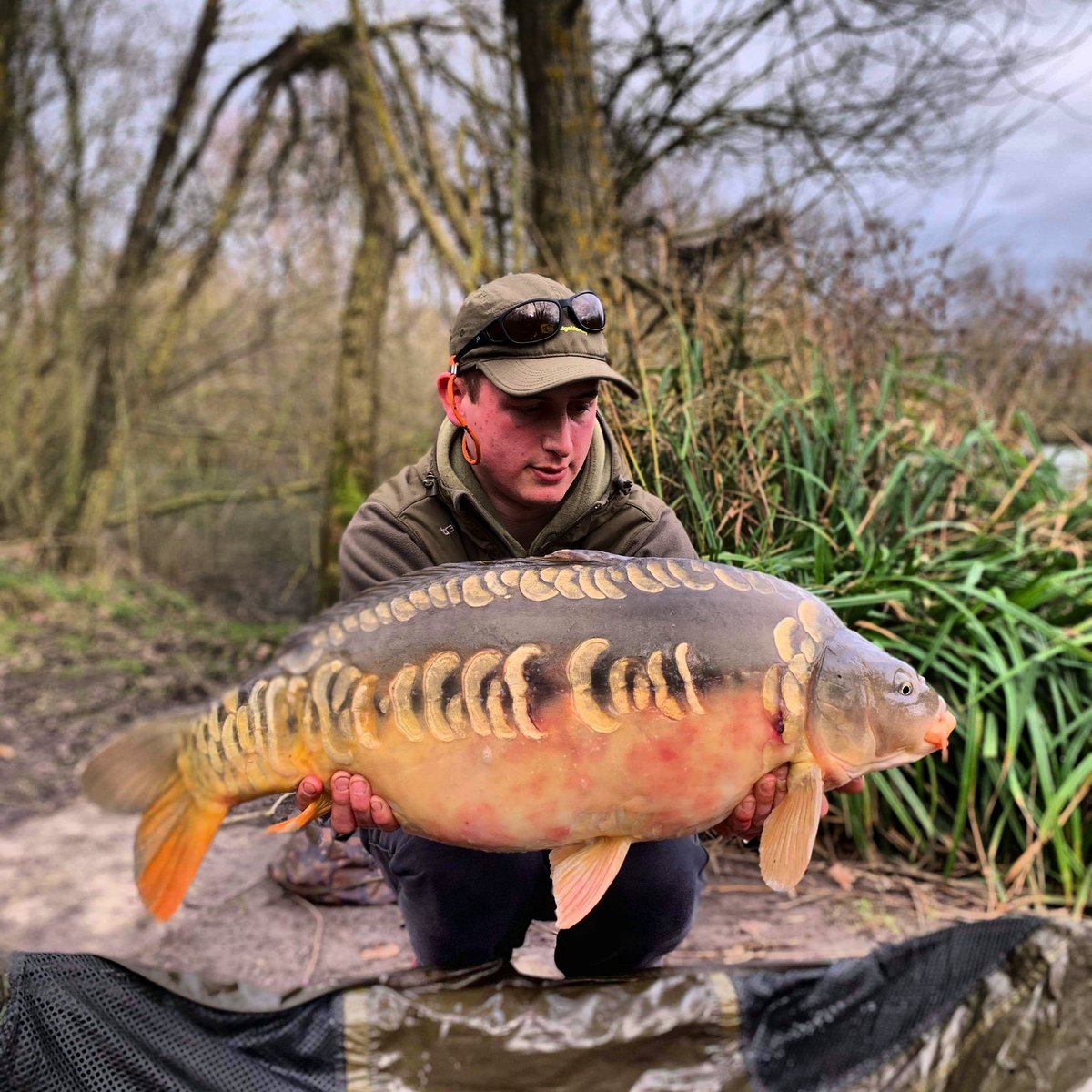 OliverStokes's tweet photo. One from last weekend, and what a stunner it was👌 https://t.co/MH1gWR3fBw