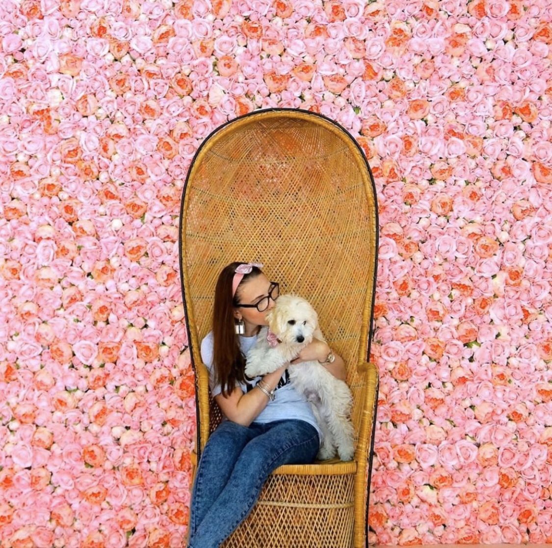 flowervault's tweet photo. Want cute pics like these? Come to Flower Vault this weekend! Get tickets on our website https://t.co/CcylrQLTz7 #FridayThoughts #FridayFeeling #photography #austin #texas https://t.co/GqS00QiLGR