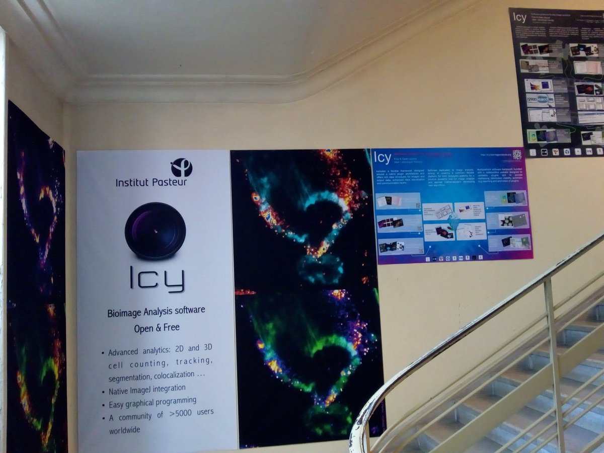 Icy_BioImaging's tweet photo. Posters from #ASCB2019 conference are now hanging in our corridors thanks to @manich_maria and @danyfel80
#Icy_BioImaging #BioImageAnalysis software https://t.co/KSdKdFJEdr