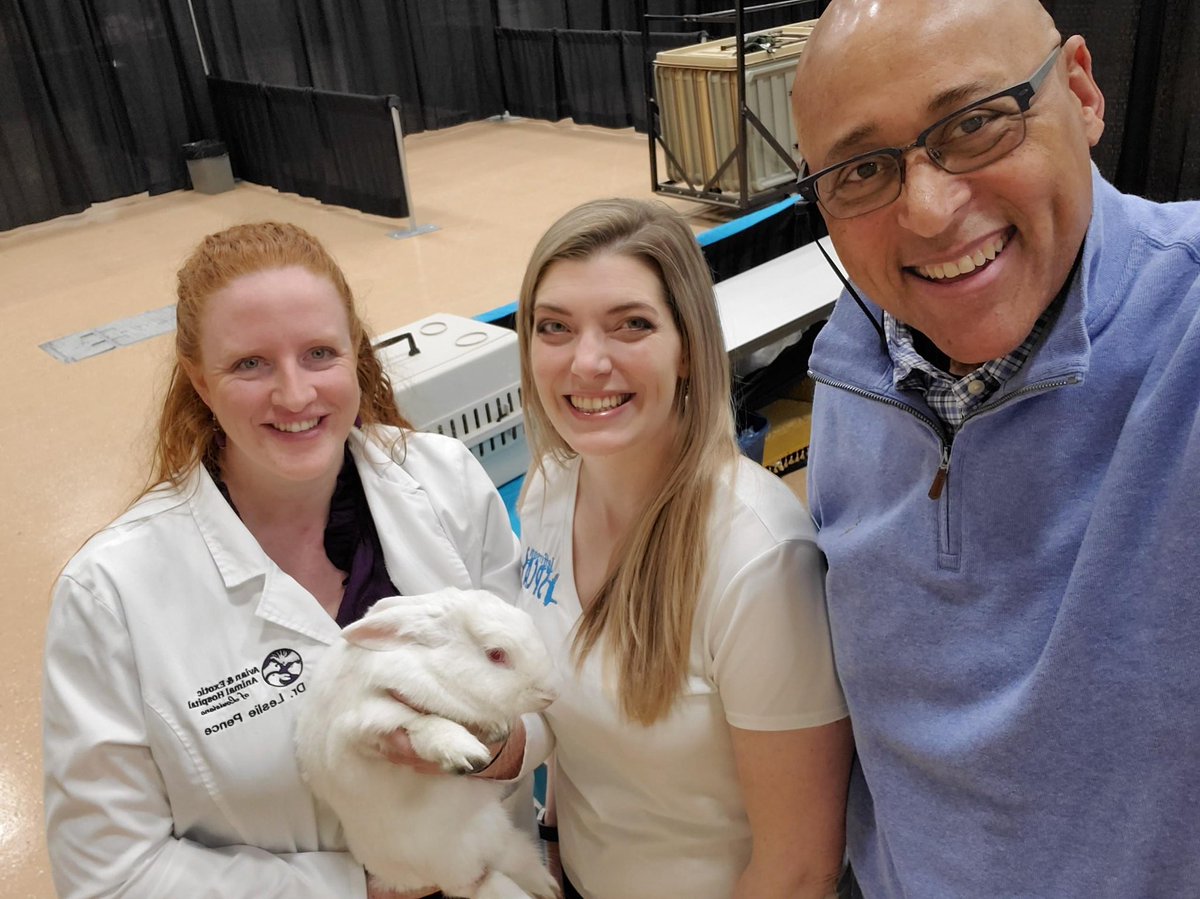 ChefKevinBelton's tweet photo. These adorable babies will be at the New Orleans Pet Expo this weekend wanting to meet you. And hoping you can give them a good home and lots of love. @WWLTV #beon4 #adoptablepets #adopt #rescue #unconditionallove #furbabies #sheltervalentine @JeffersonSPCA @petcofoundation https://t.co/o76hMaYHNI