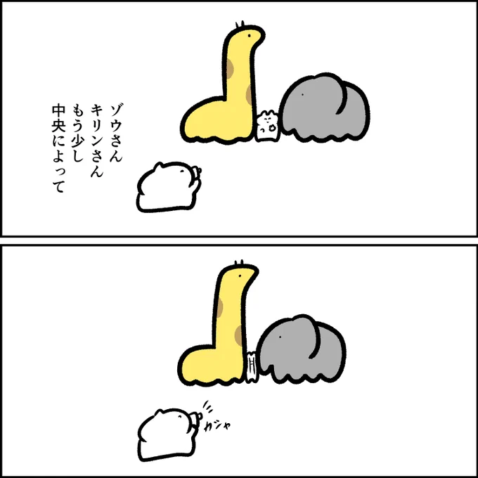 キリンとゾウと記念撮影 