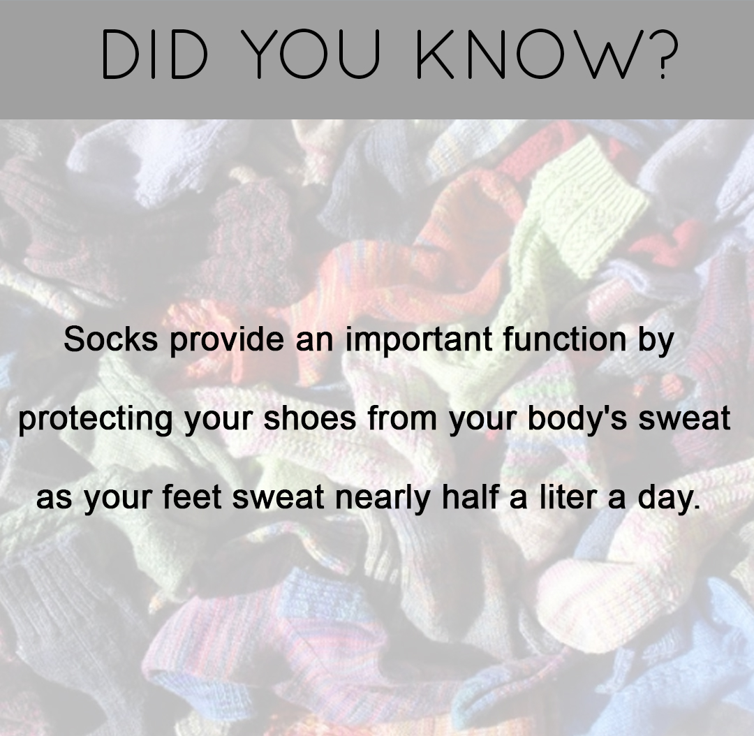 sockssmile's tweet photo. The more you know! 😌 https://t.co/niG4FHrty1
