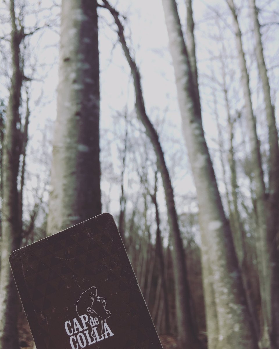 Partides amb amics i família a llocs màgics!

#capdecolla #castells #lafagedadenjorda #fageda #catalunya #jocdecartes