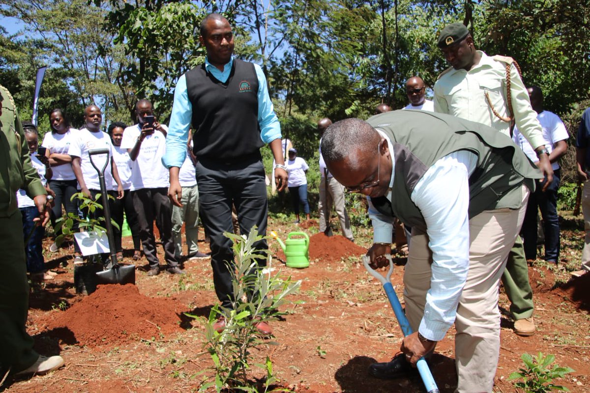 KeForestService's tweet image. Kenya Forest Service has today partnered with Unclaimed Financial Assets Authority (UFAA) to rehabilitate a section of Ngong Road Forest where a total of 2,790🌱🌲 indigenous tree seedlings have been planted.