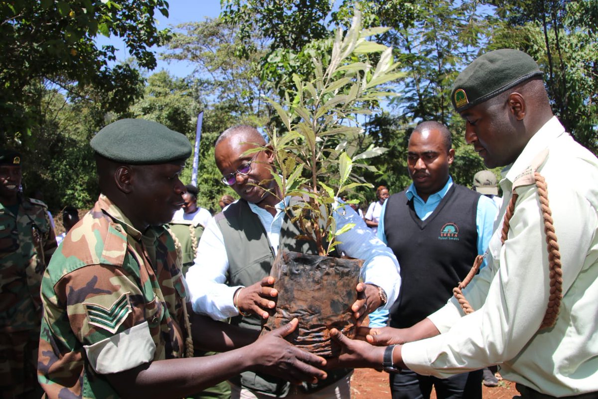 KeForestService's tweet image. Kenya Forest Service has today partnered with Unclaimed Financial Assets Authority (UFAA) to rehabilitate a section of Ngong Road Forest where a total of 2,790🌱🌲 indigenous tree seedlings have been planted.
