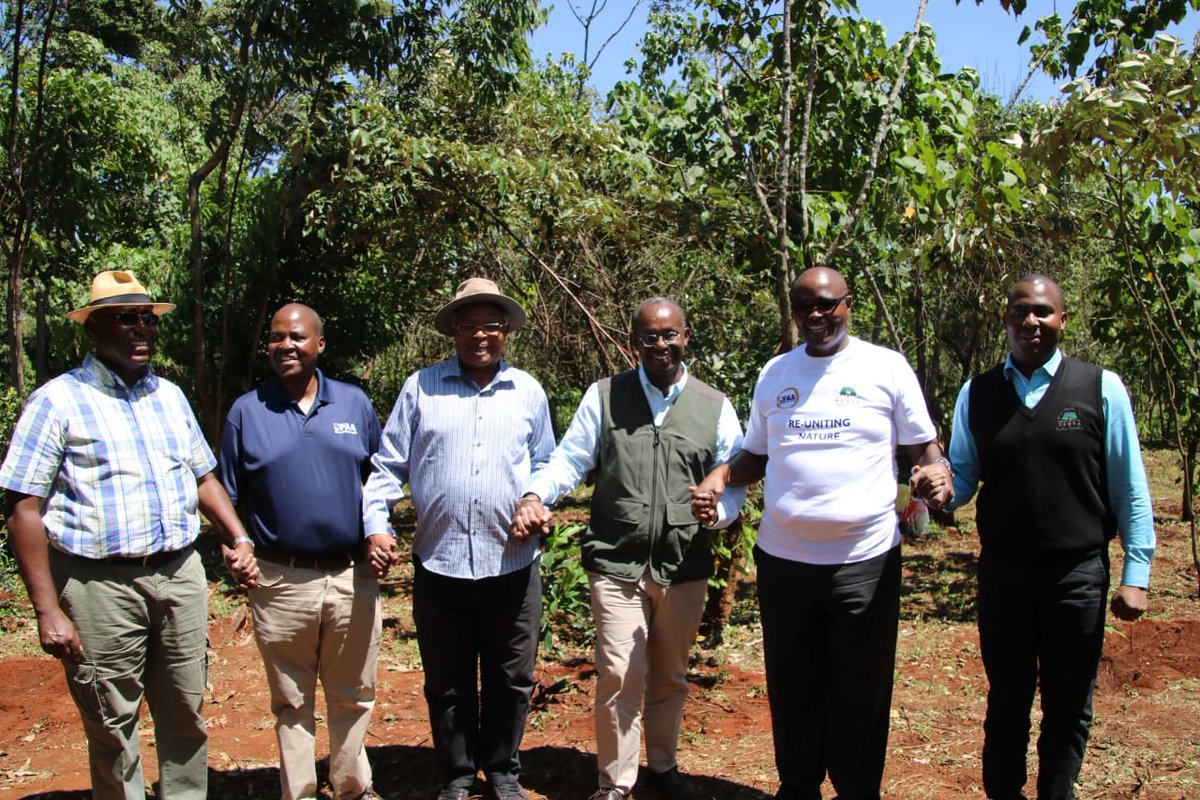 KeForestService's tweet image. Kenya Forest Service has today partnered with Unclaimed Financial Assets Authority (UFAA) to rehabilitate a section of Ngong Road Forest where a total of 2,790🌱🌲 indigenous tree seedlings have been planted.