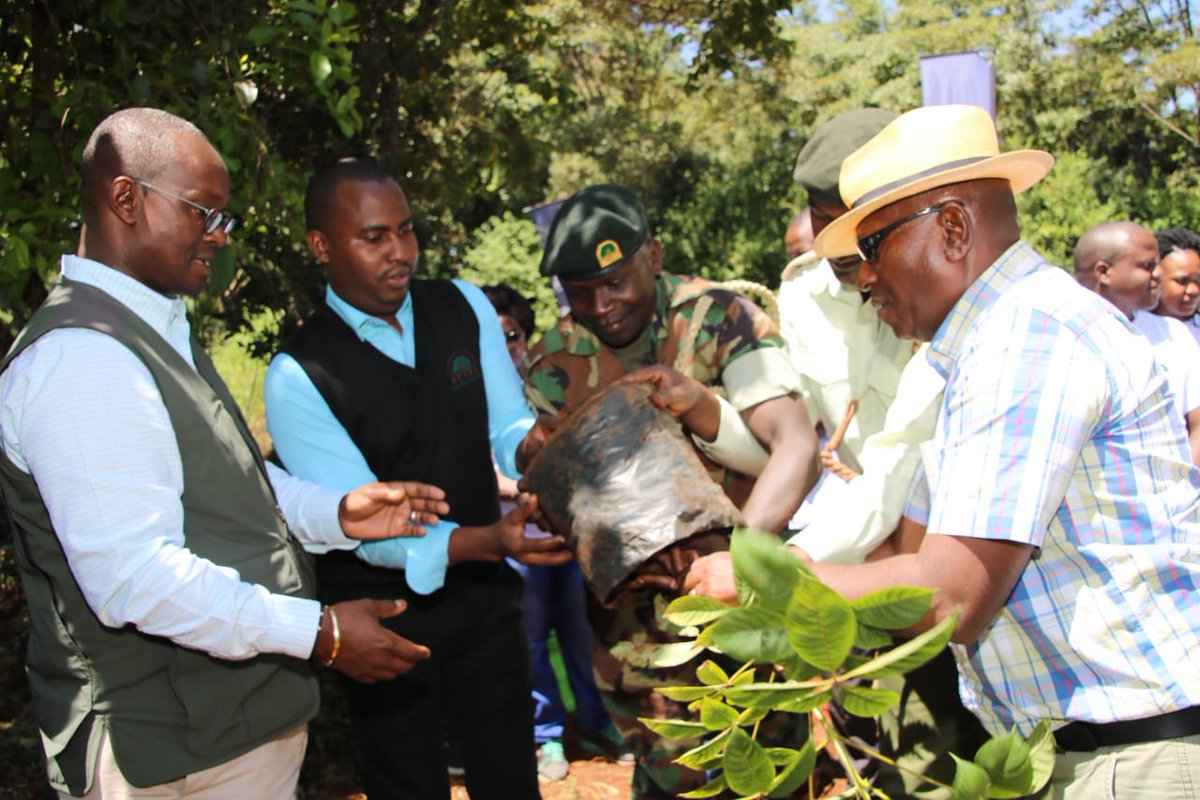 KeForestService's tweet image. Kenya Forest Service has today partnered with Unclaimed Financial Assets Authority (UFAA) to rehabilitate a section of Ngong Road Forest where a total of 2,790🌱🌲 indigenous tree seedlings have been planted.