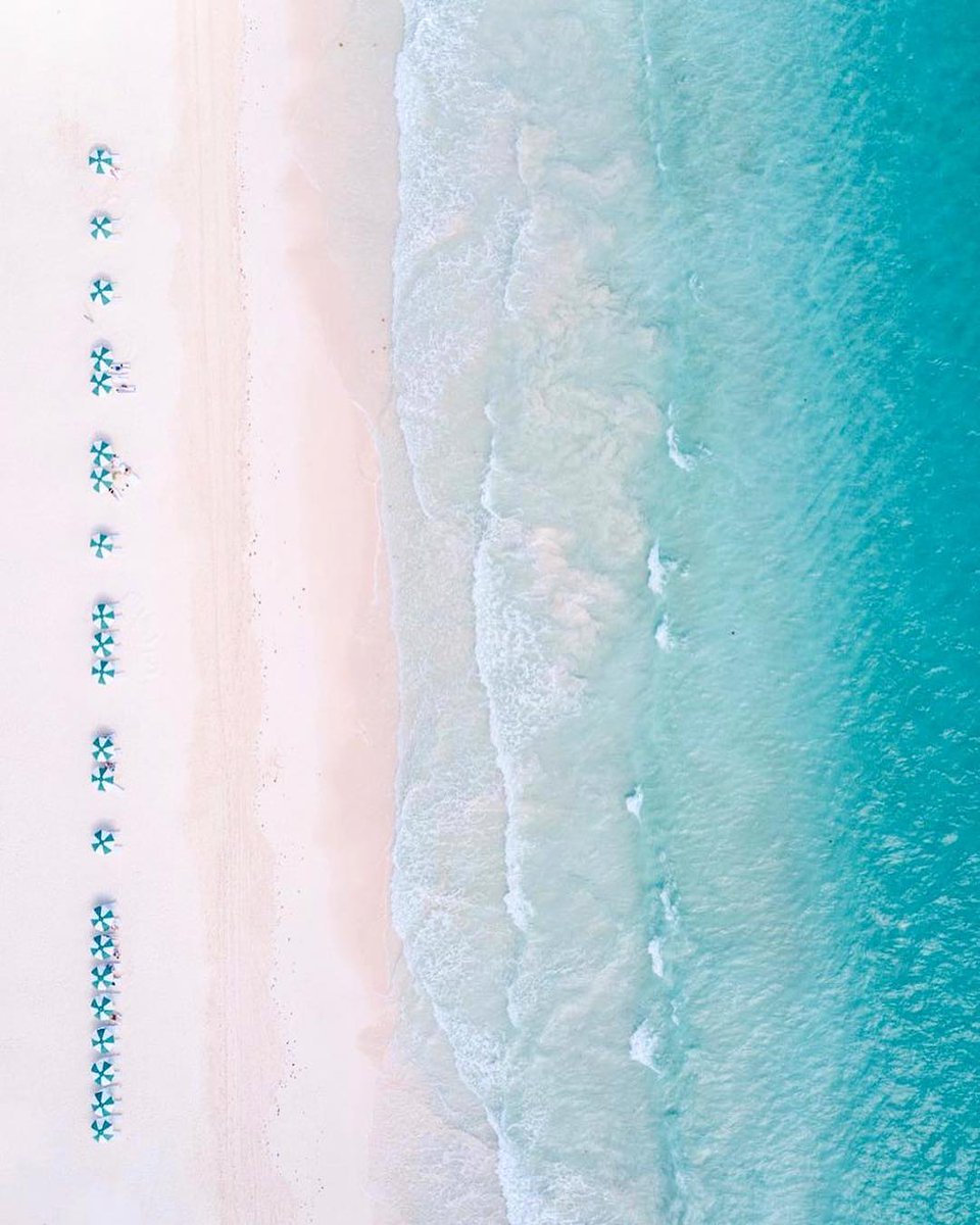 Explore The Bahamas tweet media