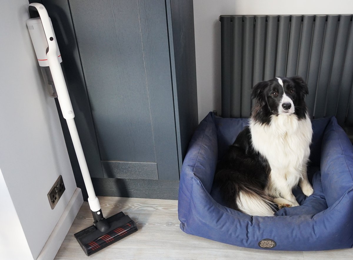 TO WIN our X20 model that is a vacuum/mop in one making it the purrfect cleaner for pet mess, simply 

- Like and retweet
- Make sure you're following us
- Reply with a pic of your pet below using #roidmipets

Winner chosen on Friday 28th Feb, t&amp;cs apply.

#competition #comps😍🐾