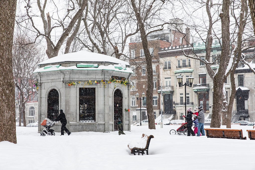Montreal's tweet photo. 🌨 #SnowDay! ❄☃
📷 @susanmossphoto
#MTLmoments #winter https://t.co/Q1z6pOXrjO