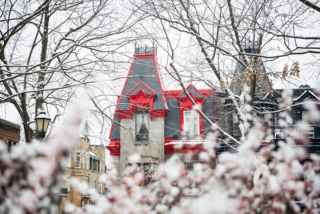 Montreal's tweet photo. 🌨 #SnowDay! ❄☃
📷 @susanmossphoto
#MTLmoments #winter https://t.co/Q1z6pOXrjO