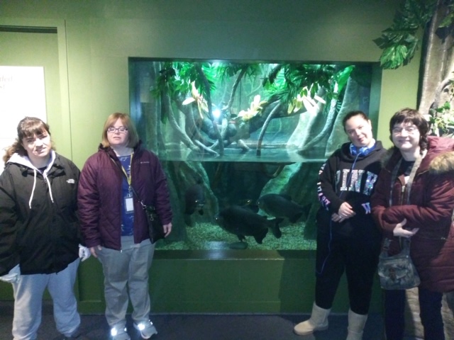 We are lifelong learners!

Our Community Engagement Program enjoys exploring exhibits at local museums, especially Roman sculptures at <a href="/mtholyoke/">Mount Holyoke College</a> Art Museum​ and dinosaurs at <a href="/SpfldMuseums/">Springfield Museums</a>​!