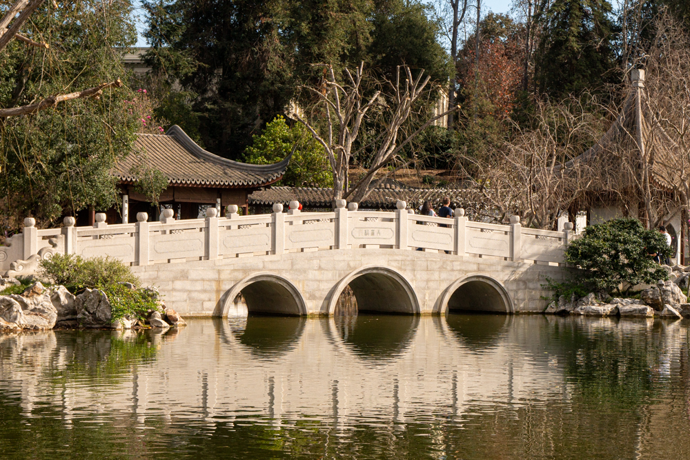 ElizabethBoatm2's tweet photo. New blog Chinese New Year at the Huntington - https://t.co/IsE45d1QIx https://t.co/CJdejlIXI2