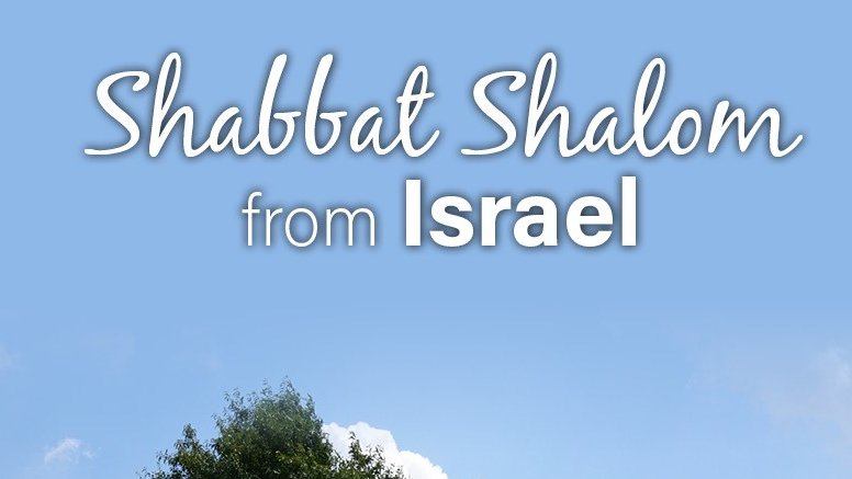 Amer4Israel's tweet photo. Wishing a peaceful #shabbat to all the people of #Israel 🇮🇱#shabbatshalom #votea4i #wzc2020 #zionistelection 📸 @Isrl4Evr https://t.co/bvv9T79khh