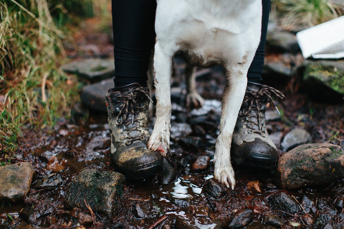 Athena Mellor visited us recently for a boot fit and ended up with a pair of trusty Altberg boots. Read all about her local adventures in the Peak District in our blog:

georgefisher.co.uk/blogs/articles…