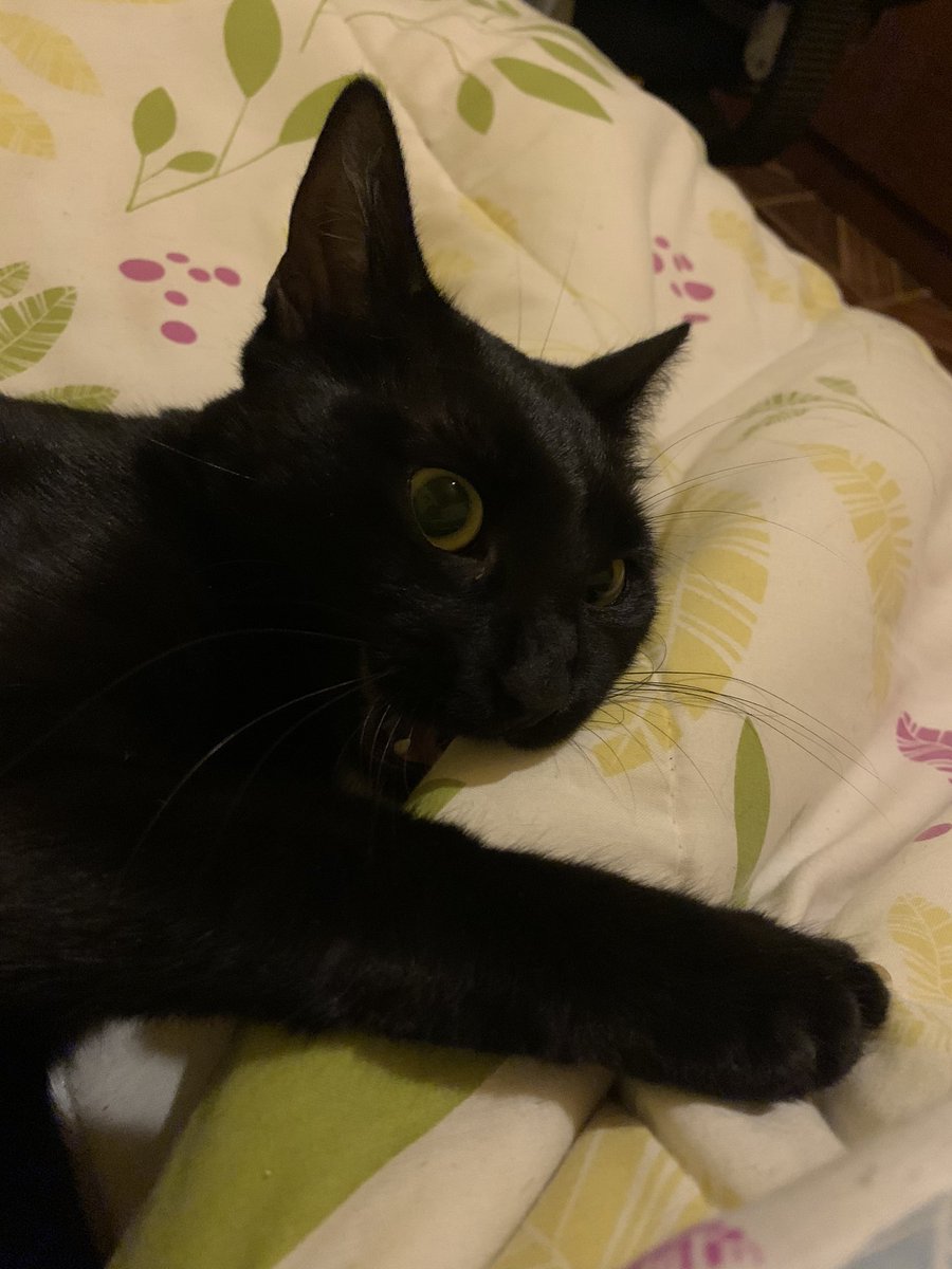 Olaaaaa amigossss <a href="/gatitos_qctd/">✨ Gatitos que curan tu depresión ✨</a>