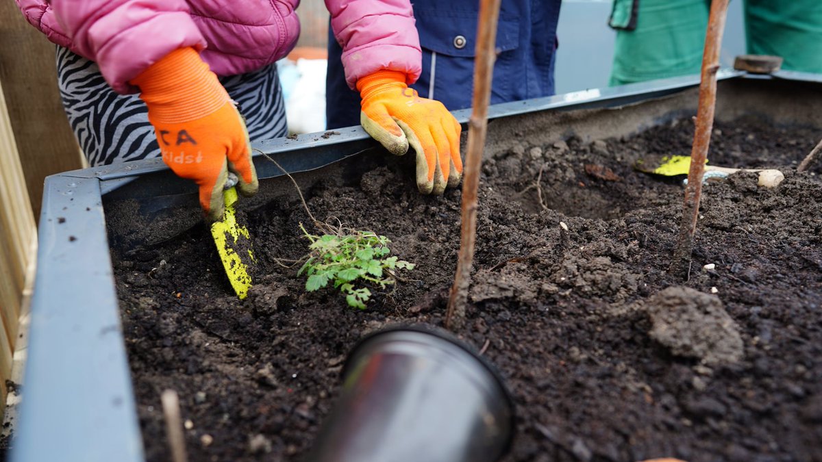 The Cavendish School tweet media