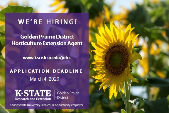 GPEDcrops's tweet image. ksre.k-state.edu/jobs/current_o…