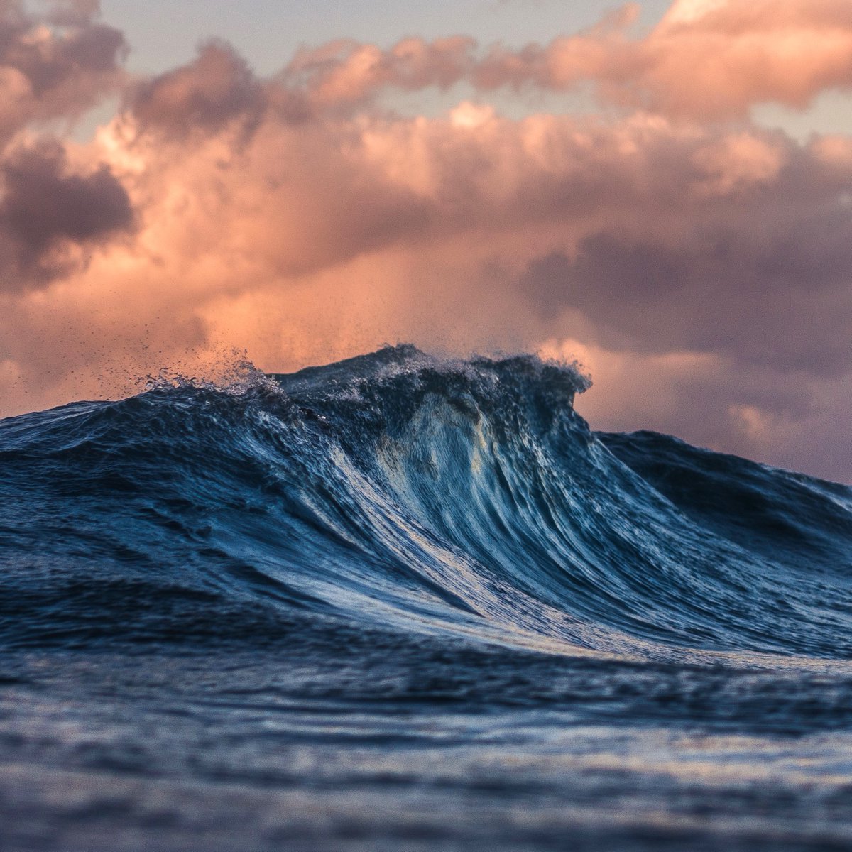 SDG World Tour tweet media