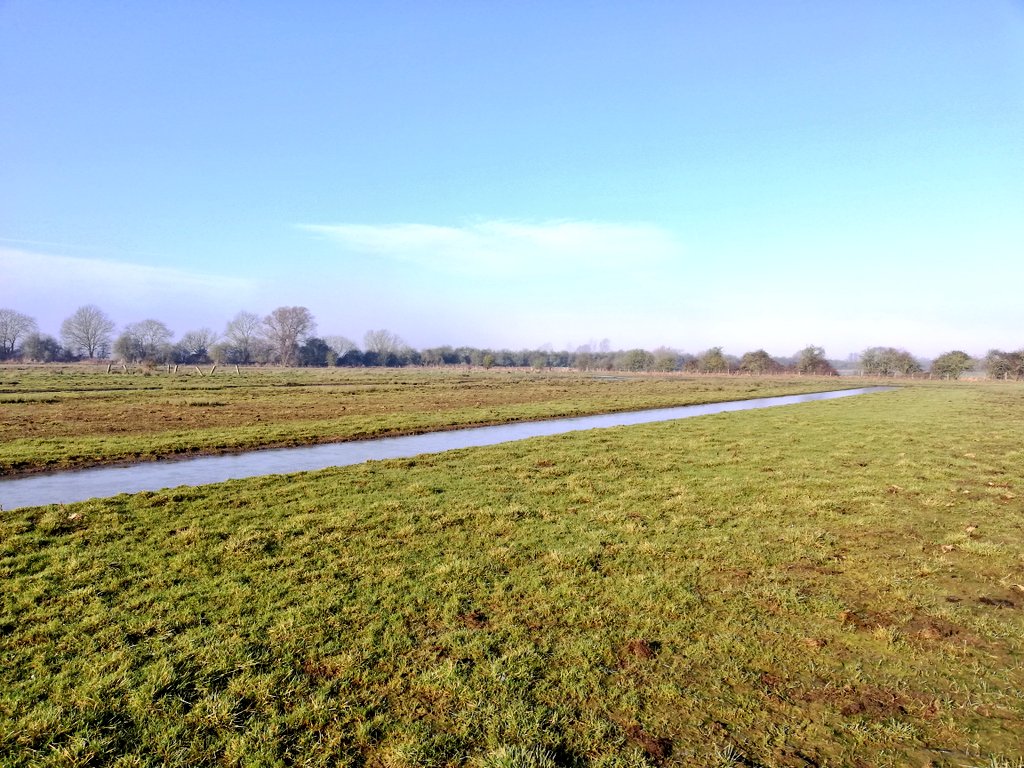 Farming for the Future tweet media