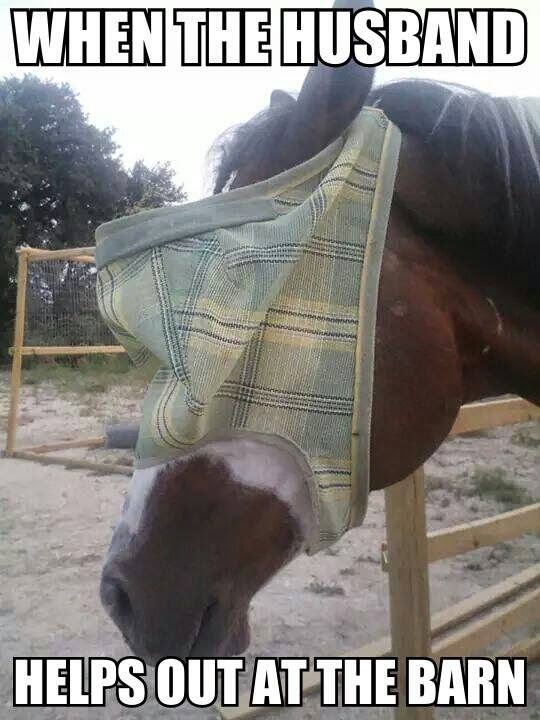 chat_stable's tweet photo. yeah thanks for the help #nothelping https://t.co/5kQtnCTLR9