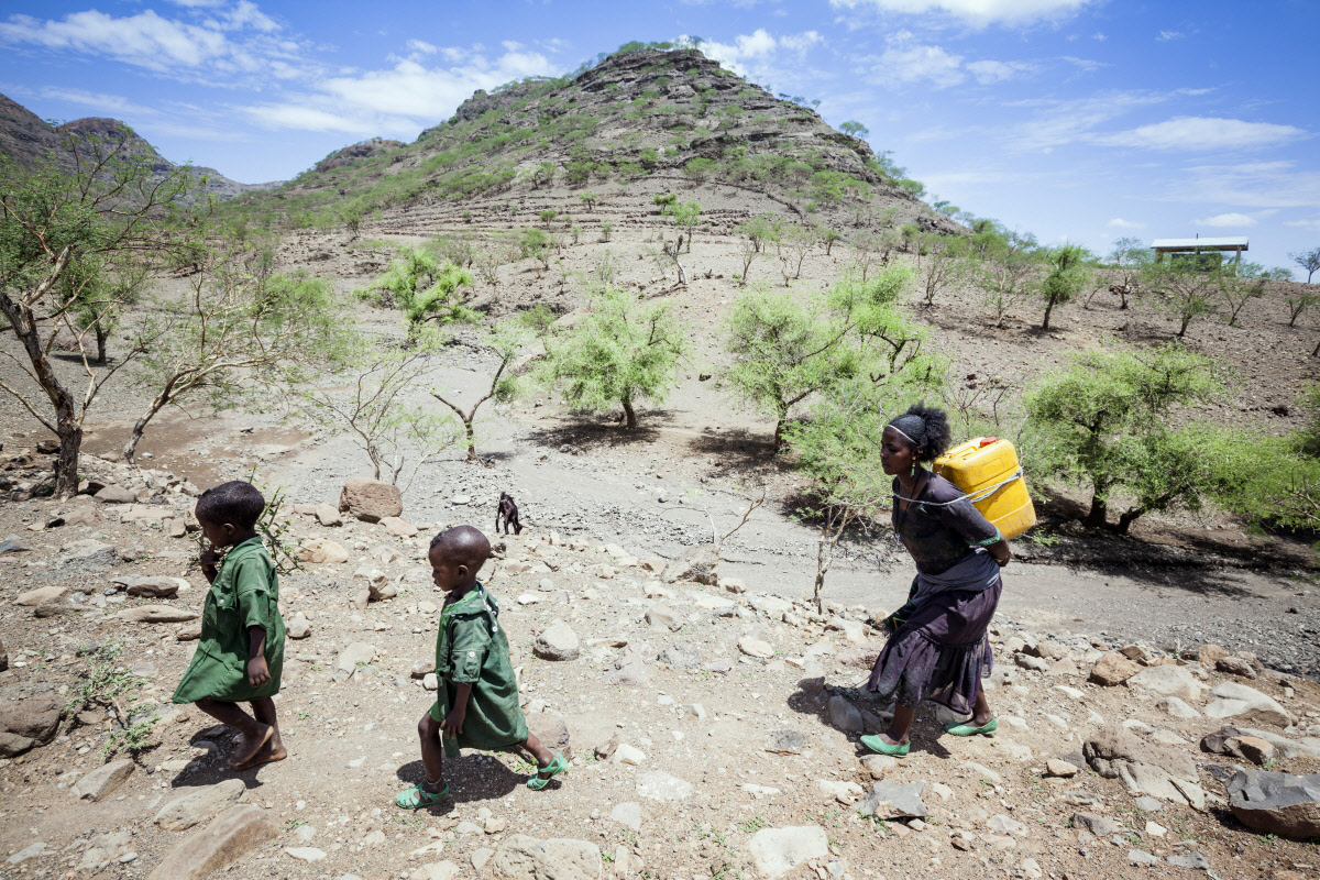 IFPRI's tweet photo. Good seasonal climate prediction is crucial to address #climatechange. Authors from @JHUCaSE @IFPRI @UWMadisonCEE propose new approach to connect climate prediction to agricultural planning in #Ethiopia. https://t.co/jA0FIOkhY3 @NSF @WLE_CGIAR https://t.co/5Ek4P0Ued2