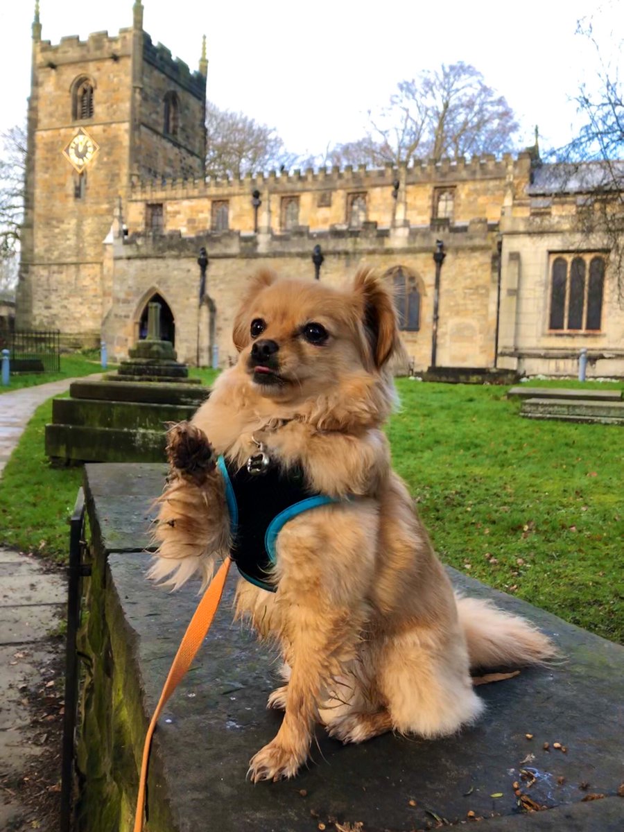 TheMowuSource's tweet photo. Mowus big day out!

It all started with a little drive.
Then I met some people and some other doggy’s and we barked and had fun.
Then I was a good boy and did a little sit in front of this big building. 
I hear that I am handsome. 
#cute #dog #pomchi https://t.co/i8xDsPKkJ7