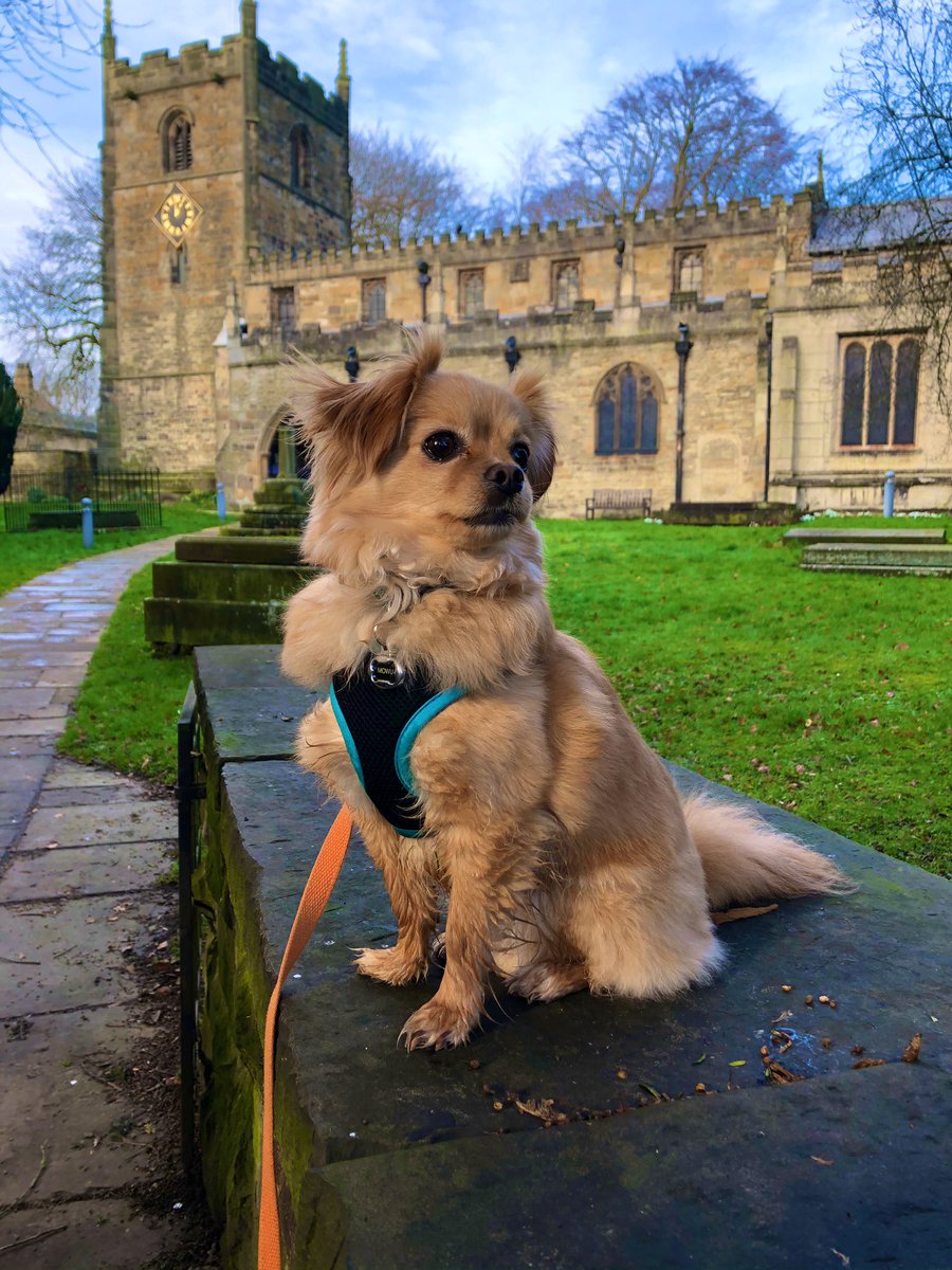 TheMowuSource's tweet photo. Mowus big day out!

It all started with a little drive.
Then I met some people and some other doggy’s and we barked and had fun.
Then I was a good boy and did a little sit in front of this big building. 
I hear that I am handsome. 
#cute #dog #pomchi https://t.co/i8xDsPKkJ7