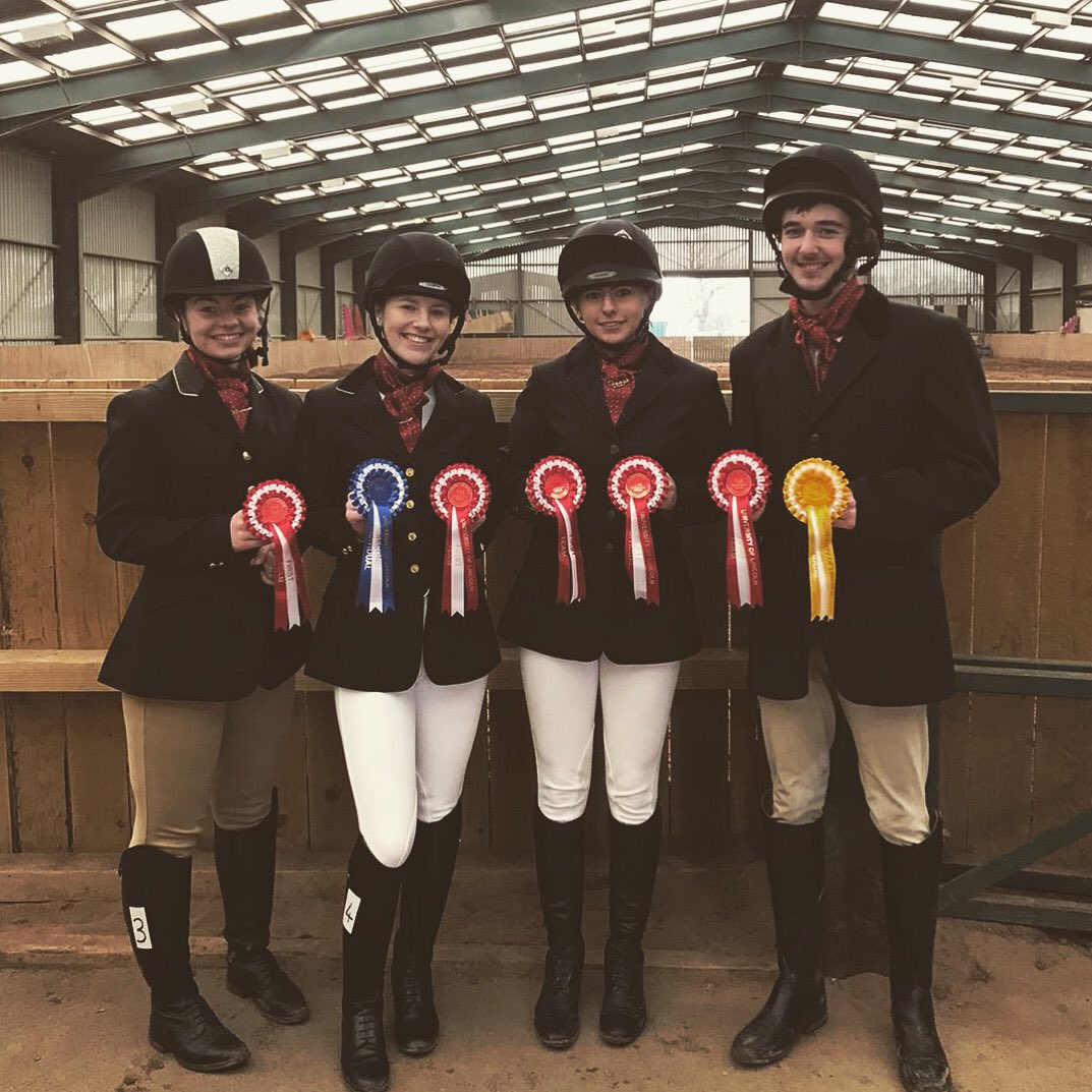 DMUEquestrian tweet media