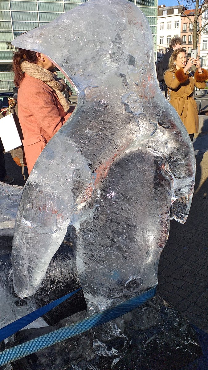 🐟 Nicolas_Fournier🐟 tweet media