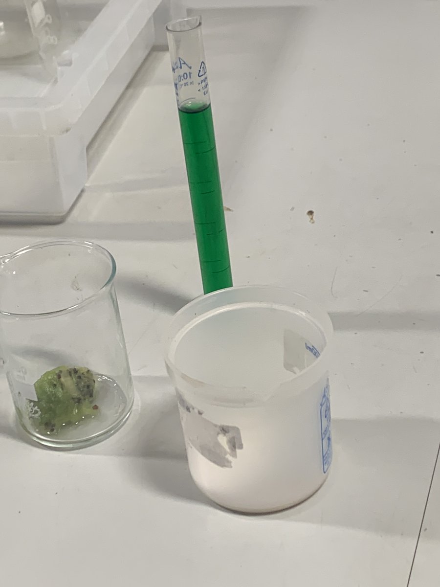 BirleyCC_Sci's tweet photo. Science club finding out what Kiwi fruit is made of (DNA apparently!!) @LEADAcadTrust @birleyacademy #seriousaboutscience https://t.co/fyAQH8VSRG