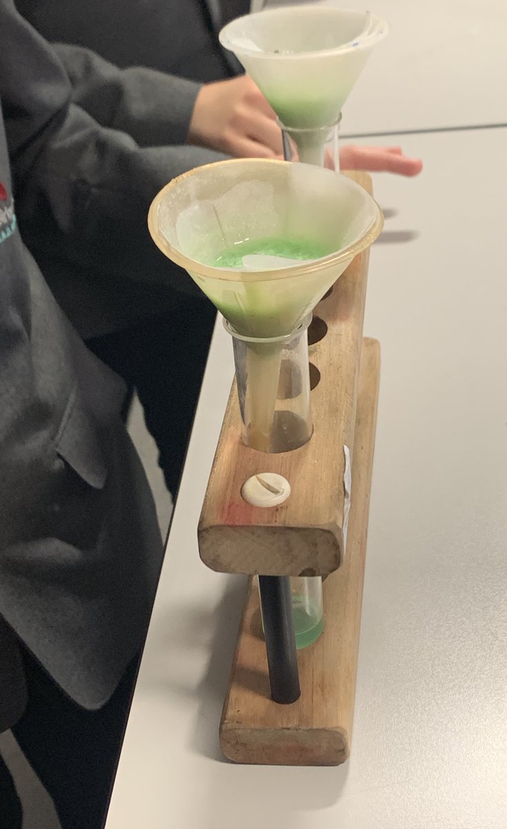 BirleyCC_Sci's tweet photo. Science club finding out what Kiwi fruit is made of (DNA apparently!!) @LEADAcadTrust @birleyacademy #seriousaboutscience https://t.co/fyAQH8VSRG