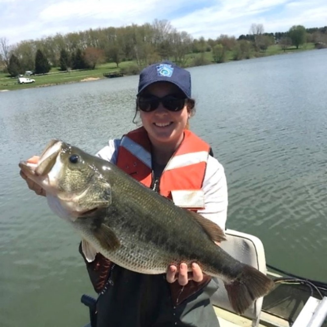pafishandboat's tweet photo. It's #FisheriesFriday and we have a #BiologistReport for Mammoth Lake in Westmoreland County. You'll be looking forward to some great bass, panfish, and trout fishing in 2020 (as seasons allow) after reading the full report, found here: https://t.co/yMGcinTSV2 https://t.co/bDgK5hr31c