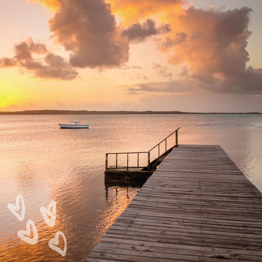 Explore The Bahamas tweet media