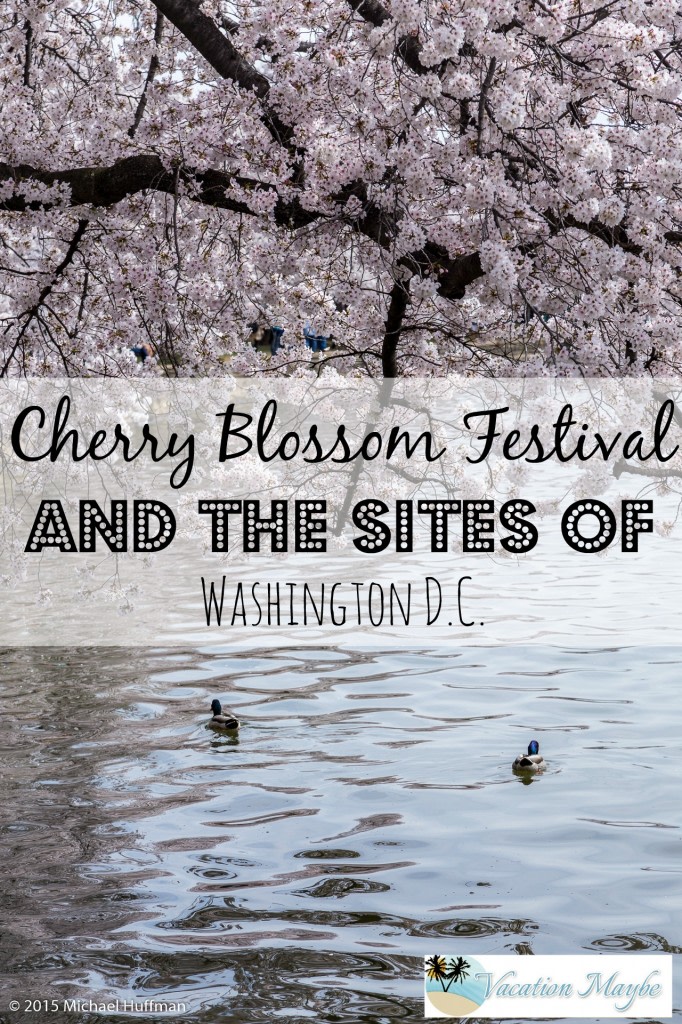 Cherry Blossom Festival - vacationmaybe.com vacationmaybe.com/cherry-blossom… #travel #vacation
