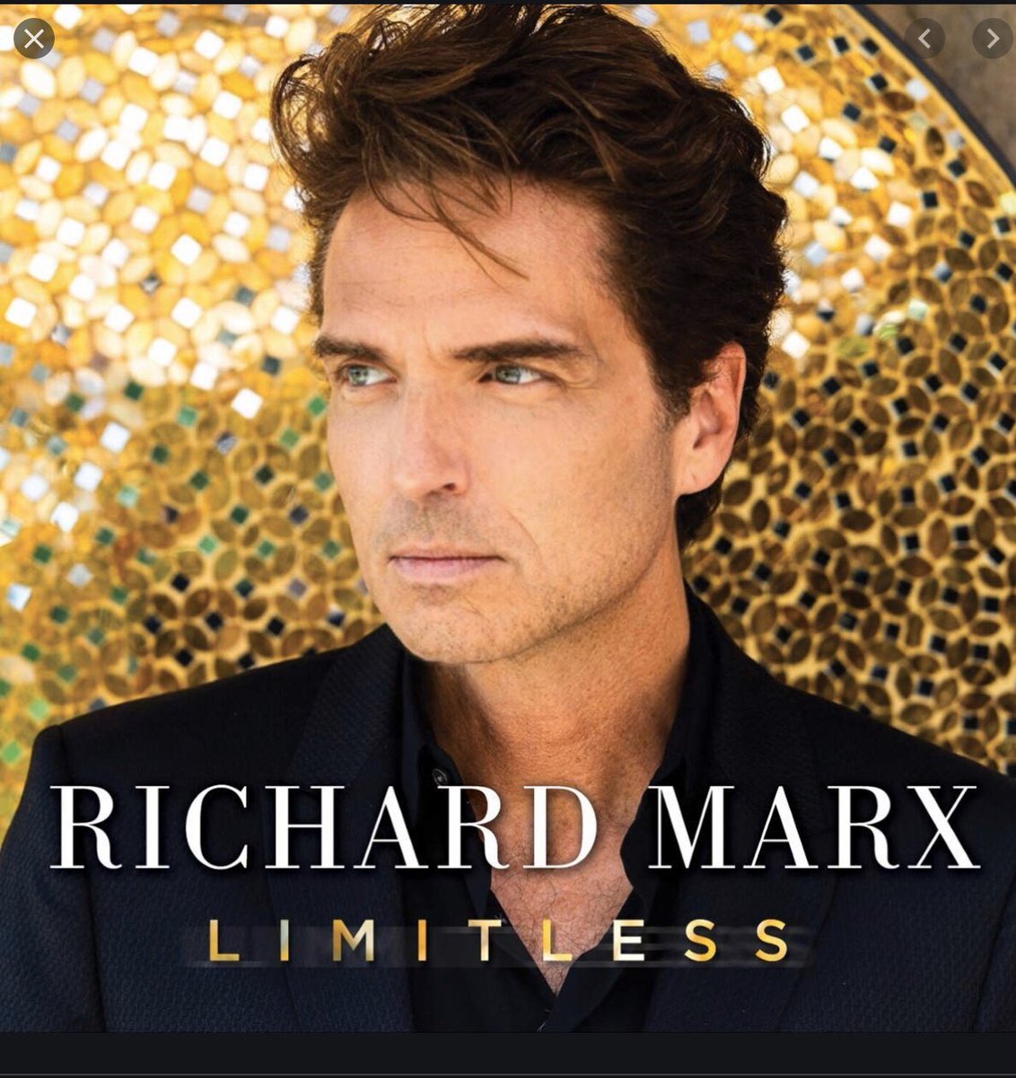 darrellbrown's tweet image. Our triple Uber talented friend @richardmarx new album #limitless came out today...congrats buddy. blessed to be able to co-wrote a song w Richard and #mattscannell   #frontrowseat. Check out the link..Stream it buy it dance to it etc etc etc.  😊❤️😊❤️